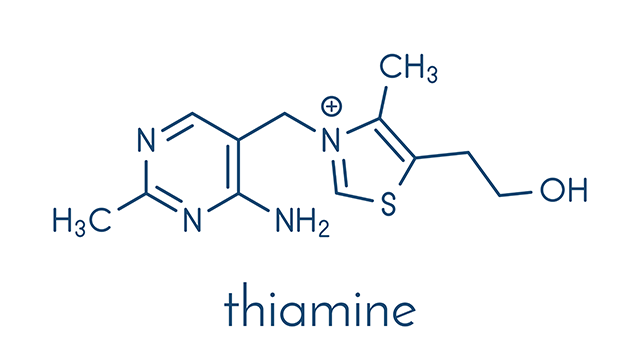 Thiamine Sources Health Benefits And Uses